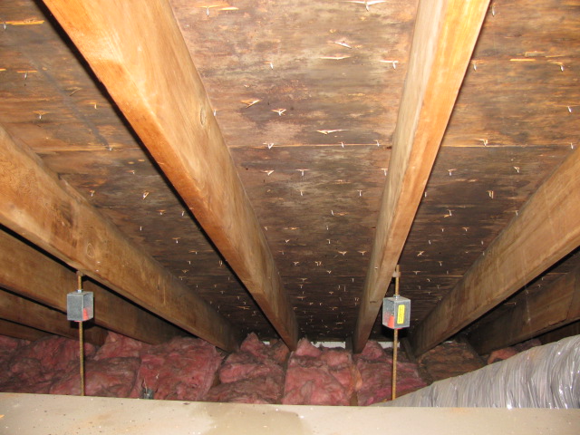 Attic Mold Remediation Experts Attic Black Mold Removal Nh